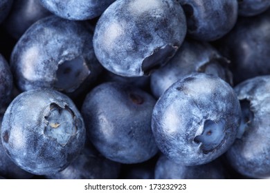 Fresh Blueberries Macro, Background