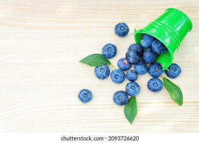 Fresh Blueberries Spilled Out Of A Small Green Bucket Turned Over On A Wooden Table.