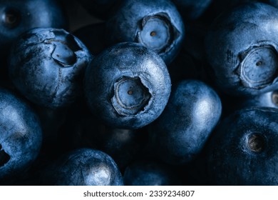 Fresh blueberry background, texture blueberry berries close up, macro shot.