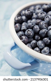 Fresh Blueberry In A Blue Cooking Pot On A Blue Background