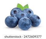 Fresh blueberry  isolated on white background . full depth of field