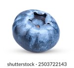 Fresh blueberry  isolated on white background