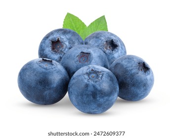 Fresh blueberry  isolated on white background . full depth of field