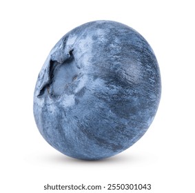 Fresh blueberry  isolated on white background