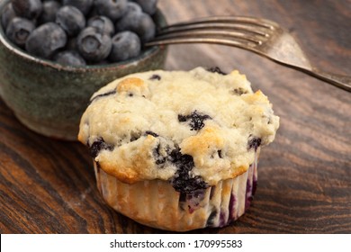 Fresh Blueberry Muffin