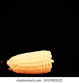 Fresh Boiled Sweet Corn Cobs PNG Photo