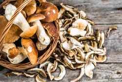 Fresh Boletus Mushrooms In A Basket And Dry Mushroom On Wooden Table, Overhead