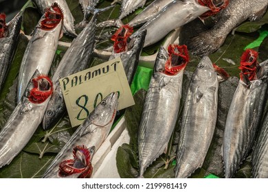 Fresh Bonito Fish In The Market