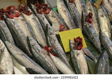 Fresh Bonito Fish In The Market