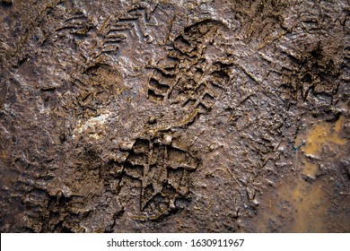 Fresh Boot Footprint In Mud