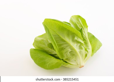 Fresh Boston Lettuce