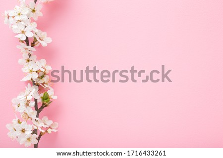 Fresh branch of white cherry blossoms on light pink background. Pastel color. Flat lay. Closeup. Empty place for inspirational text, lovely quote or positive sayings. 