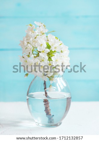 Similar – Cherry blossom branch with butterfly ornaments in glass jar