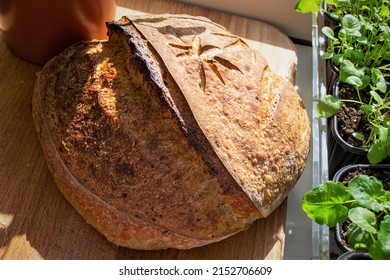 Fresh bread loaf (crisp homemade bun) on wooden plate. In home garden