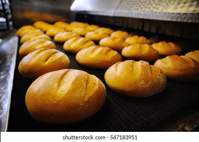 Fresh Bread Out Of The Oven