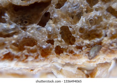 Fresh bread slice macro shot. Bread extreme close-up.