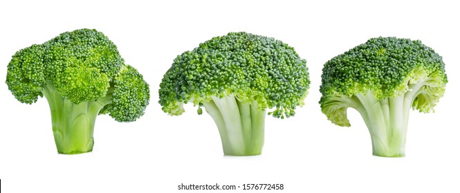 Fresh Broccoli In Closeup Isolated On White Background