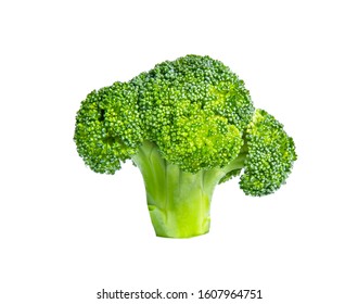 Fresh Broccoli In Closeup Isolated On White Background