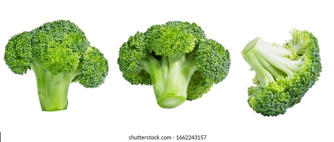 Fresh Broccoli In Closeup Isolated On White Background