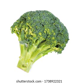Fresh broccoli in closeup isolated on white background - Shutterstock ID 1738922321