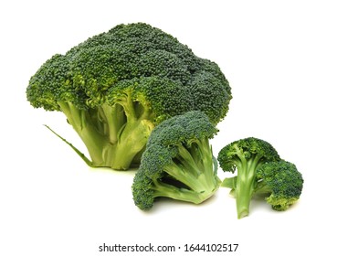 Fresh broccoli in closeup in white background - Shutterstock ID 1644102517
