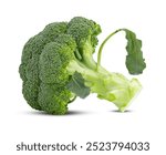 fresh broccoli isolated on white background