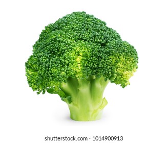 Fresh broccoli isolated on white background - Shutterstock ID 1014900913