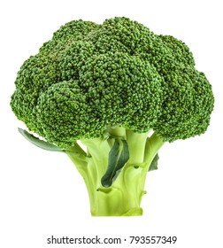 Fresh broccoli isolated on white without shadow - Shutterstock ID 793557349