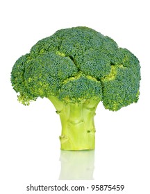 Fresh Broccoli Isolated On White