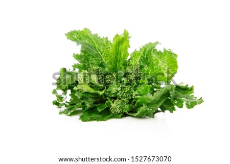 Fresh broccoli Rabe isolated on a white background Foto stock © 
