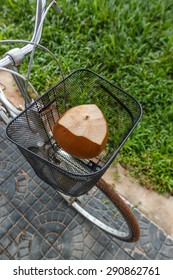 Fresh Brown Coconut In A Bicycle Basket With Green Grass At Background, Top View