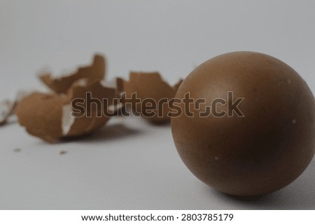 Fresh brown egg with broken eggshell in background on white surface. Renewal, resilience, new beginnings, freshness, food production, healthy nutrition, and life emerging from change