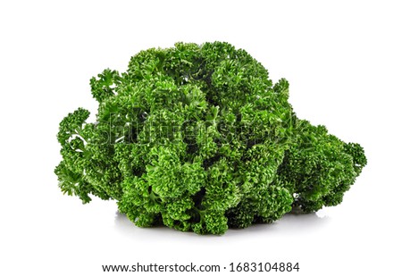 Similar – Image, Stock Photo parsley Parsley