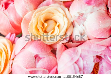 Fresh bunch of pink peonies and roses. Card Concept, pastel colors, close up image