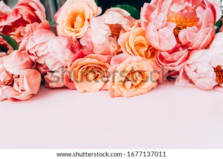 Fresh bunch of pink peonies and roses on pink background. Card Concept, pastel colors, close up image, copy space