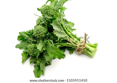 Fresh bunch of raw green organic broccoli rabe- rappini on white background Foto stock © 