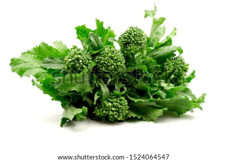 Fresh bunch of raw green organic broccoli rabe- rappini on white background Foto stock © 