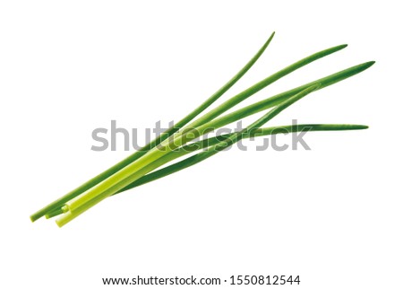 Fresh bundle of chives, isolated