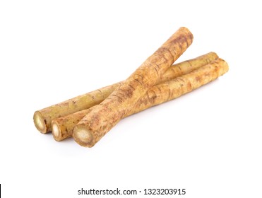 fresh burdock root or Gobo on white background