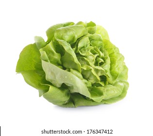 Fresh Butter Head Lettuce Isolated On White Background