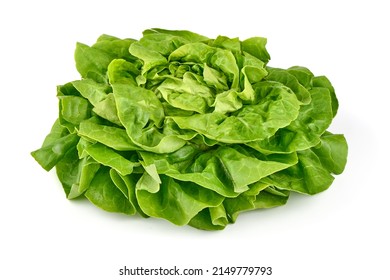 Fresh Butter Lettuce, Isolated On White Background