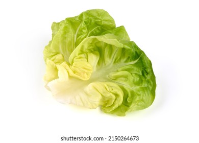 Fresh Butter Lettuce, Isolated On White Background