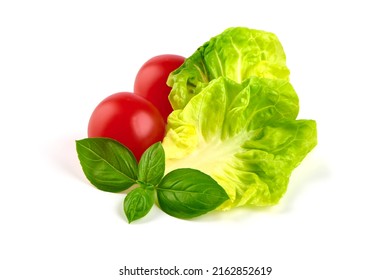 Fresh Butter Lettuce, Isolated On White Background