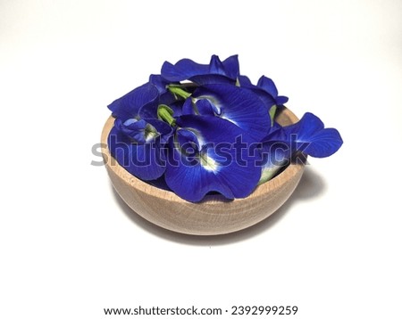 Fresh butterfly pea flower in small wood bowl isolated on white background. Clitoria Ternatea flower