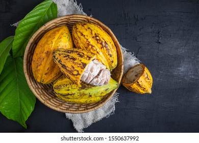 Fresh Cacao Fruit In The Basket