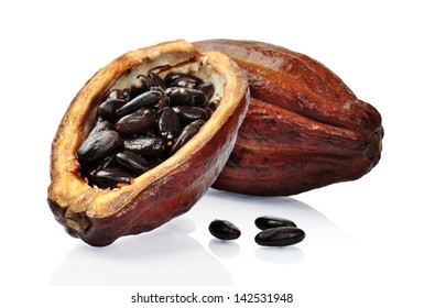 Fresh Cacao Fruit Isolated On A White Background