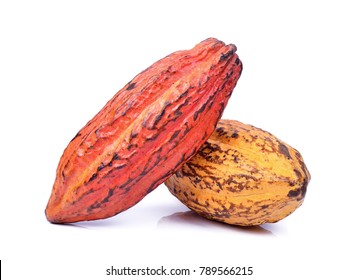 Fresh Cacao Pods Isolated On A White Background.