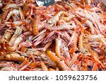 Fresh Cancer Irroratus crabs for sale at fish market