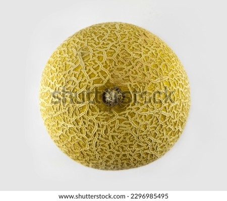 Fresh cantaloupe melon isolated, top view