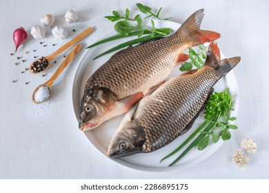 Fresh carp fish with herbs and spices on a plate on a white table
